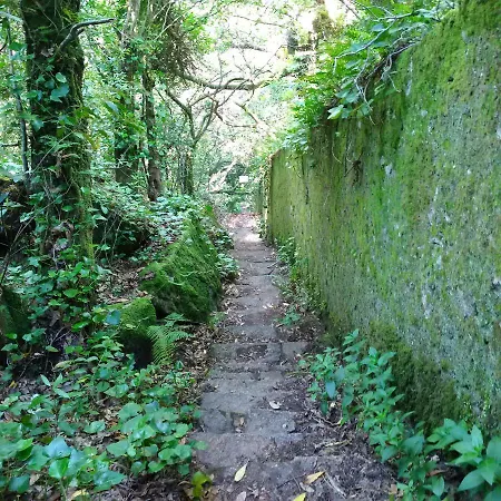 アパート Mucifal A